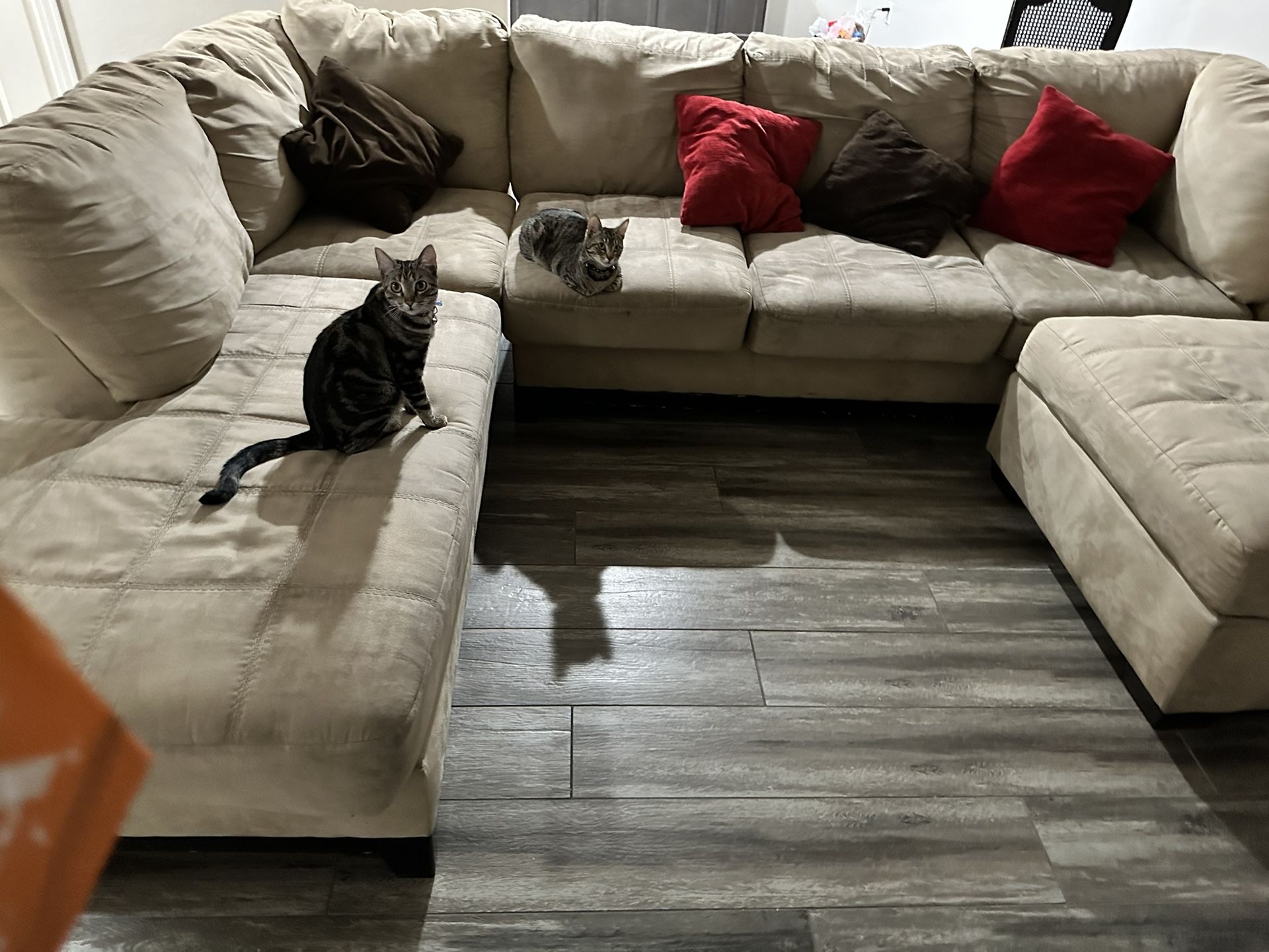 Couches For Sale for Sale in Tucson, AZ OfferUp