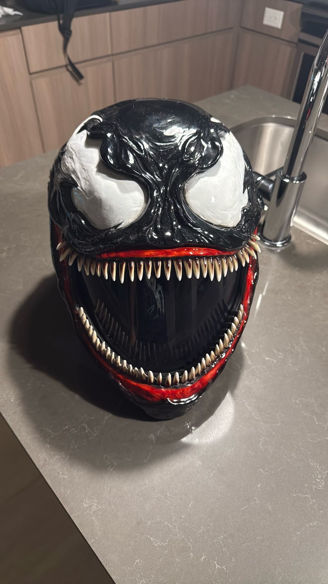 Venom Motorcycle Helmet 