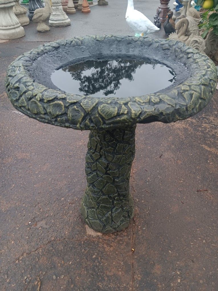 Bird Bath