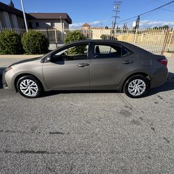 2019 Toyota Corolla