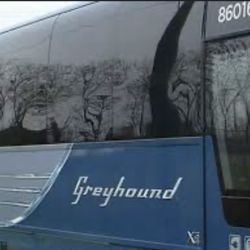 Two Greyhound/Flix Bus Ticket Vouchers! 