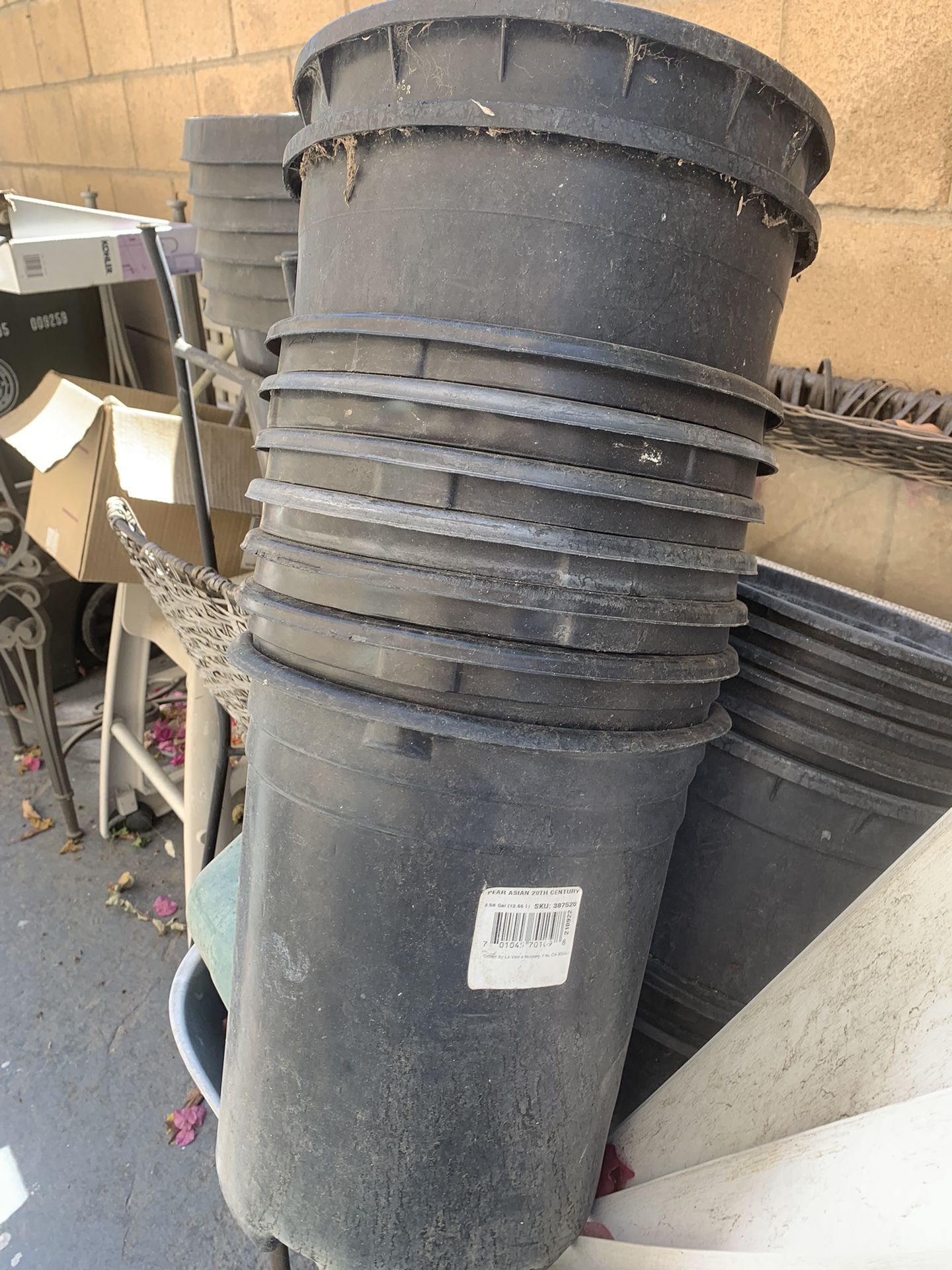 Plant Pots 10 Gallon Pots 3$ Each. 1 Gallon pot 2 For 1$