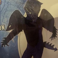 Dark Dragon Costume