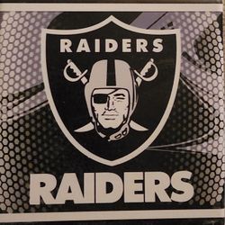 Raider Coasters