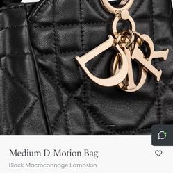 Dior Medium D Motion Bag