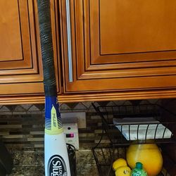 31-21.   Xeno Softball Bat 