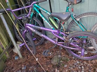 Girls Bicycle