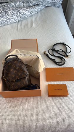 Louis Vuitton Palm Springs Mini Backpack