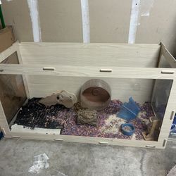 Hamster Cage 
