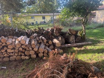FREE WOOD