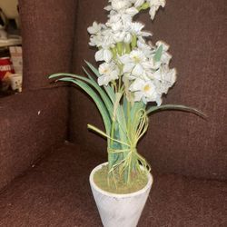 Fake Flowers 