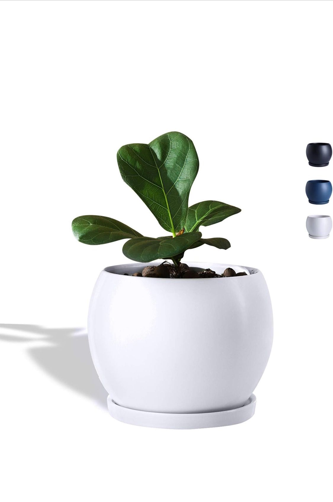 Wencassy Indoor Ceramic Planter Flower Plant Pot-5 Inch with Drainage Hole and Tray for Planting - Globe, Matte White New