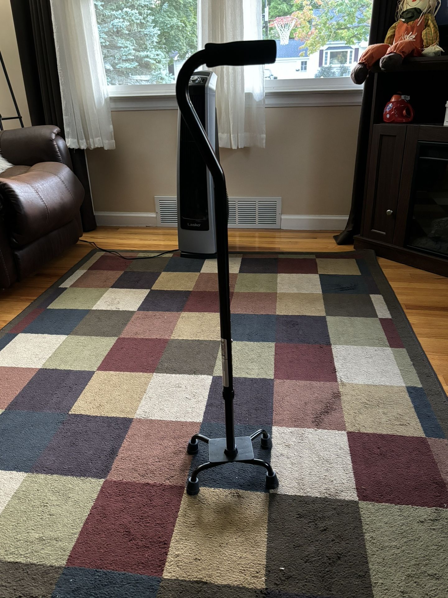 Walgreens Cane-4 Legs
