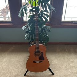 Seagull S6 Coastline momentum Acoustic Electric