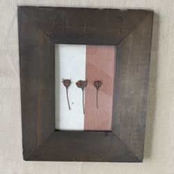 Framed Dried Flowers