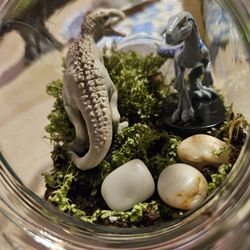 Jurassic park themed terrarium