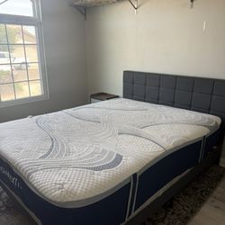 Queen Bed frame And Mattress