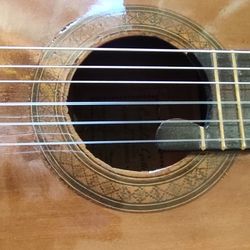 Delgado Brothers Acoustic Guitar 