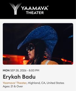 Erykah Badu tickets (2)