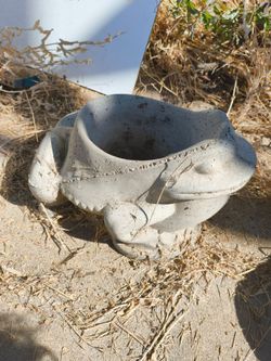 Cement Frog Planter