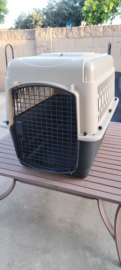 Dog Kennel/Carrier, Medium