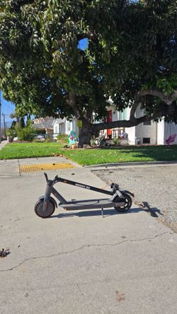 electric scooter