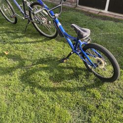 Tagalong bike hotsell for sale