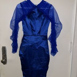 TS Couture blue ruched tulle dress 