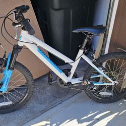 20 Inch Girls Bike.