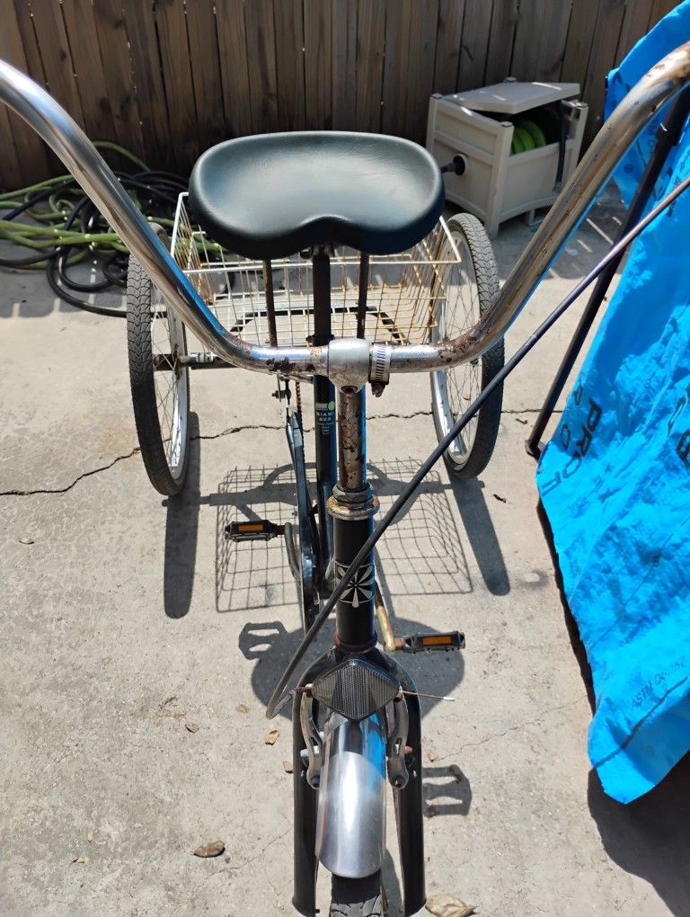 Miami Sun 3 wheel Bike