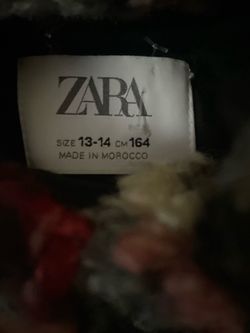 Zara hoodie