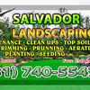 Salvador