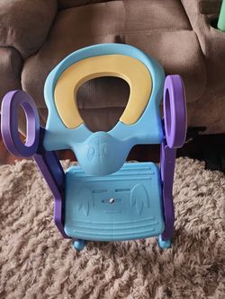 Step ladder potty trainer