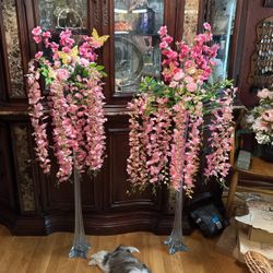 To Buy 150 To Rent 50