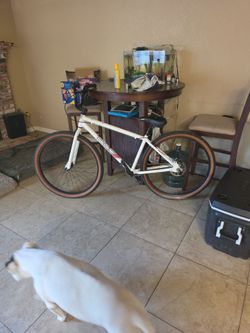 29in bmx