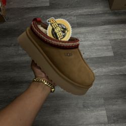UGG TAZZ CHESTNUT