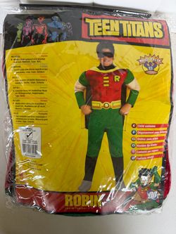 Robin kids costume size Small 3-4