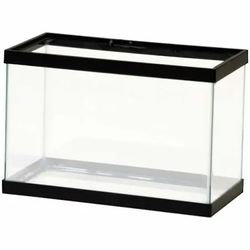 2.5 Gallon Aquarium Tank