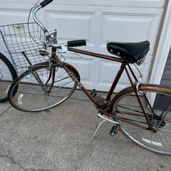 Vintage swing men’s bike