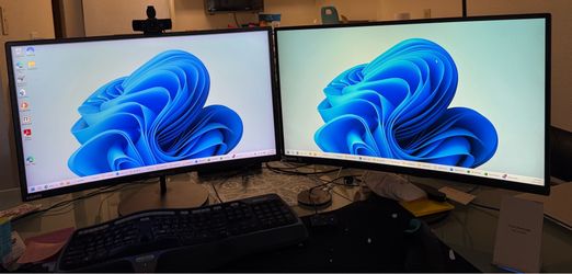 Two Sceptre Monitors