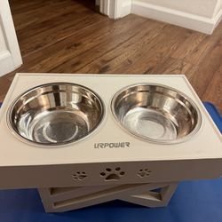 Double dog bowel stainless steel and blue mat large enough to keep the surface of your floor  covered and clean.