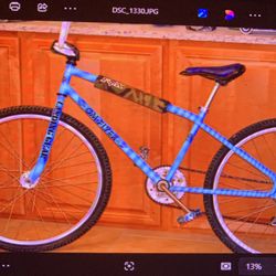 SE Racing OM Flyer #016