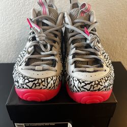 Nike Foamposite Pro “Elephant Print”