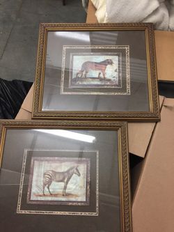 Framed Zebra and cheetah prints.