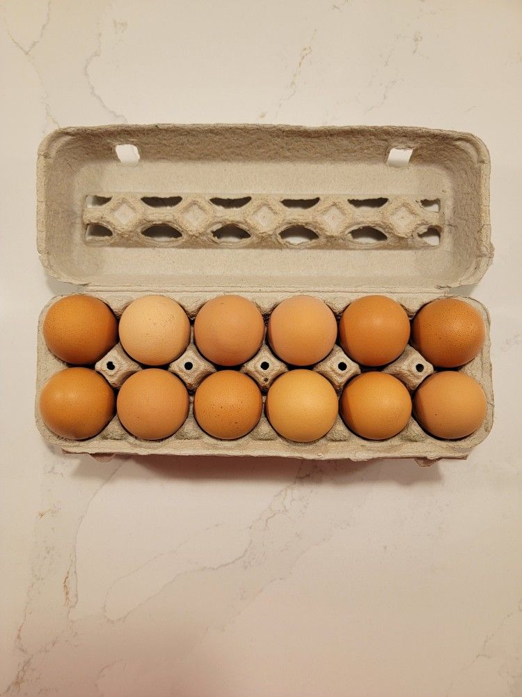 Dozen Fresh Eggs For Sale