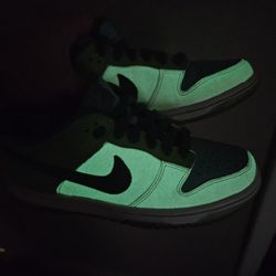 Rare Glow In The Dark Nike Dunk Low From 2006