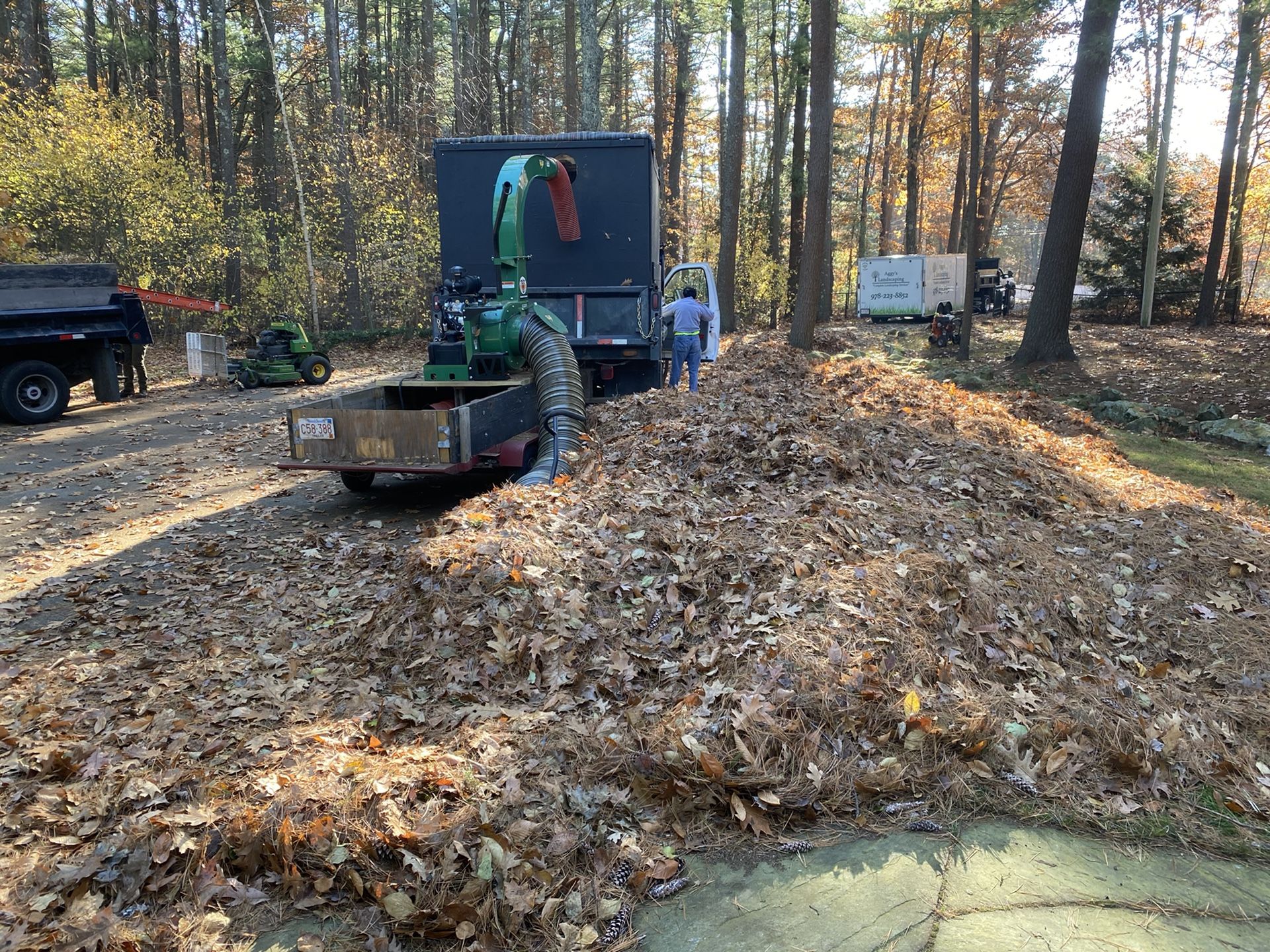 Curbside leaf pickup