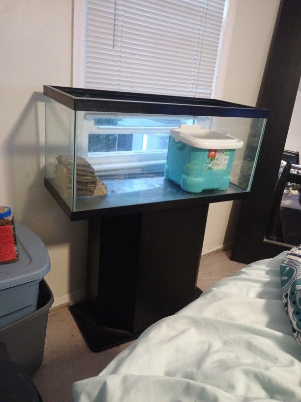 Fish Tank And Stand