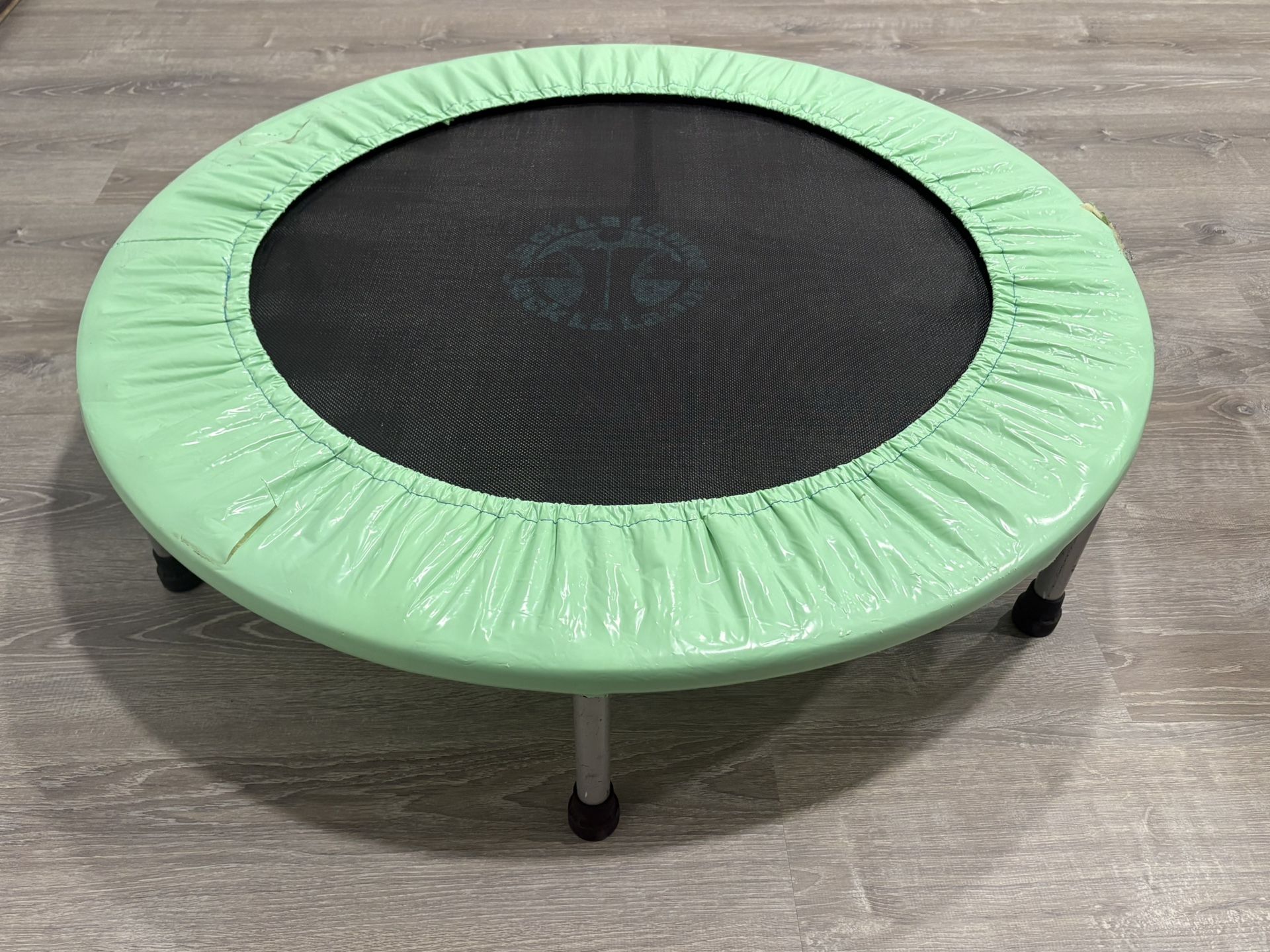 3’ Indoor Exercise / Play Trampoline