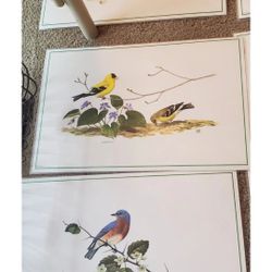 CHUCK RIPPER BIRDS PLACEMATS VINTAGE SET 6